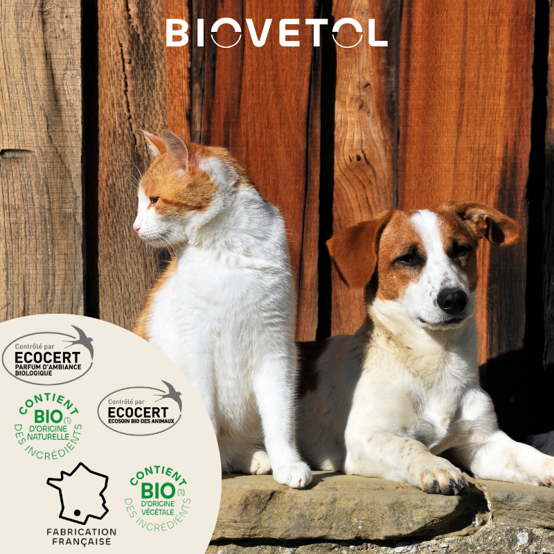 Trousse de Voyage Chien & Chat engagement