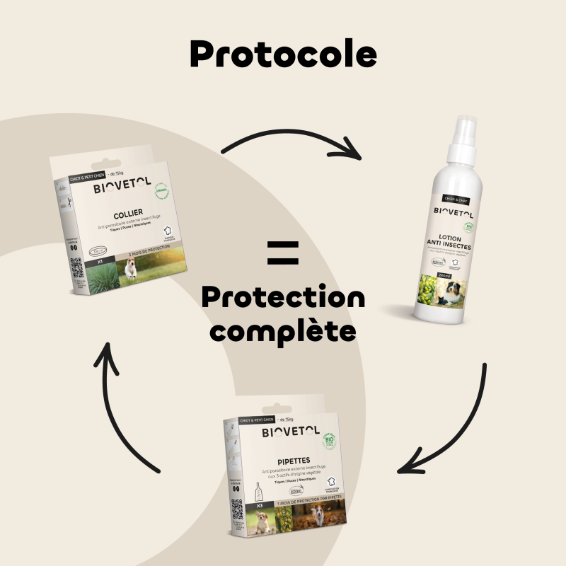 Lot de 6 colliers anti-insectes pour chiot et petit chien – Format économique routine