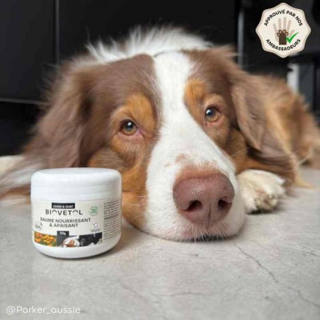 Baume Apaisant pour Chien et Chat bio – Peau irritée et démangeaisons ambassadeur