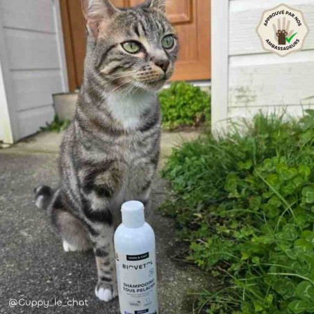 Shampooing Tous Pelages pour Chien et Chat bio ambassadeur chat