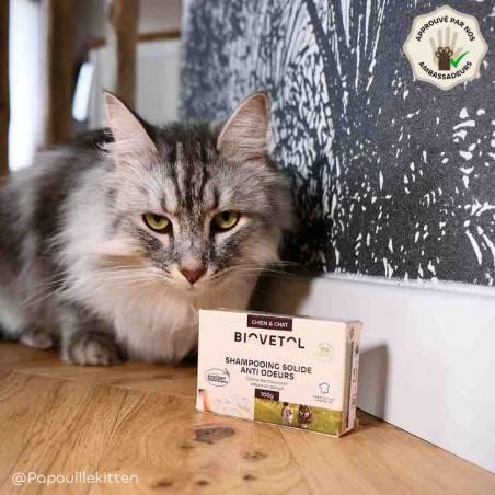 Shampooing Solide Anti-Odeurs pour Chien et Chat bio ambassadeur chat