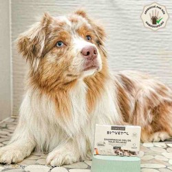 Shampooing Solide Tous Pelages pour Chien et Chat 2