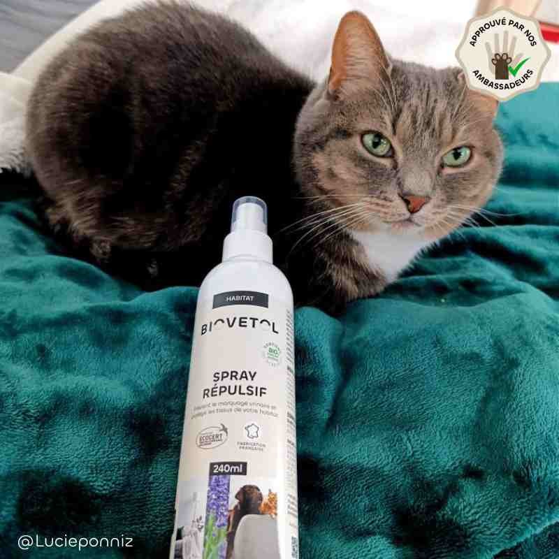 Spray Répulsif Chien & Chat bio chat