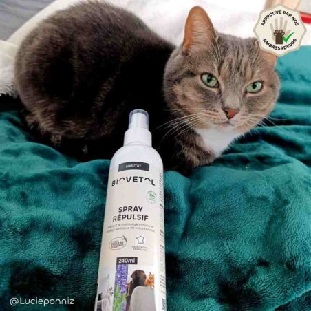 Spray Répulsif Chien & Chat bio chat