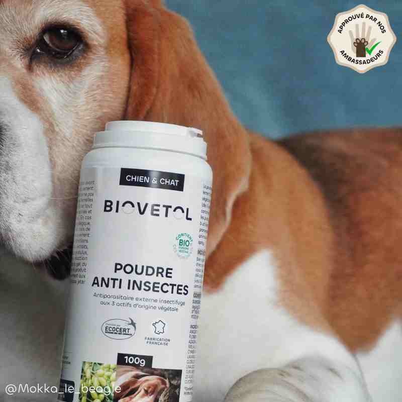 Poudre Anti-Insectes bio ambassadeur chien