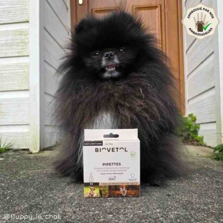 Pipettes anti-insectes pour chiot et petit chien bio ambassadeur