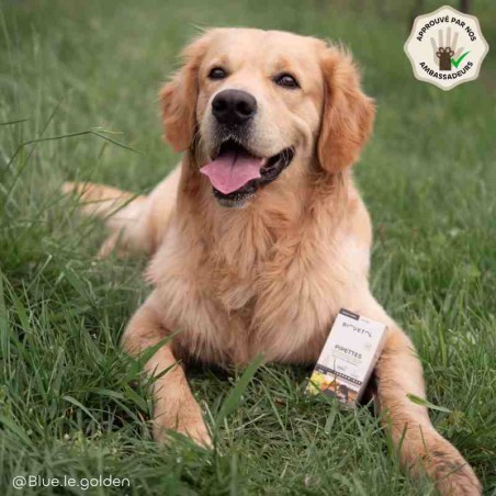 Pipettes anti-insectes pour grand chien bio ambassadeur