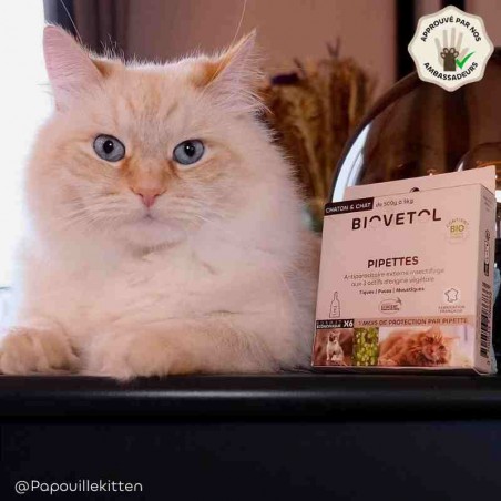 Pipettes anti-insectes Chaton et Chat bio – 6 pipettes ambassadeur