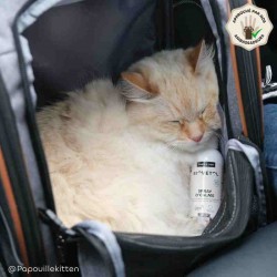 Spray O'Calme Apaisant pour Chien et Chat bio 2