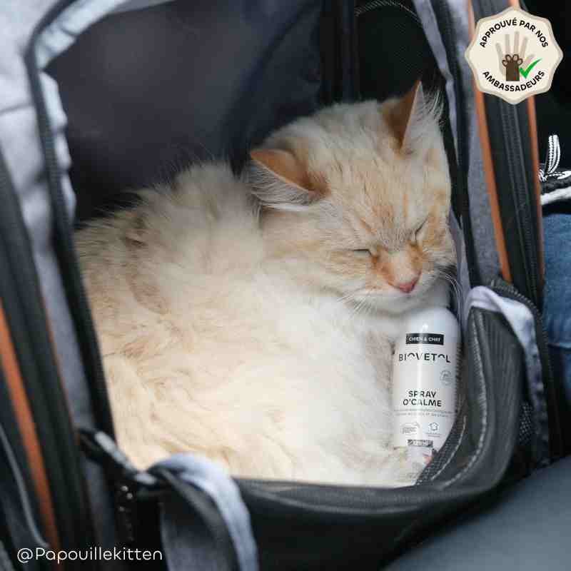 Spray O'Calme Apaisant pour Chien et Chat bio ambassadeur