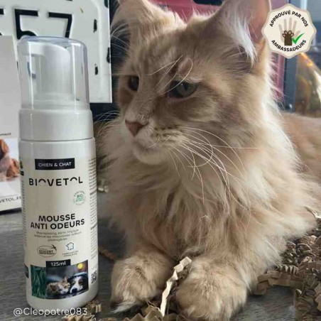 Shampooing Sec Anti-Odeurs pour Chien et Chat – Mousse Sans Rinçage bio chat