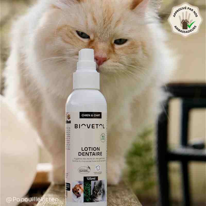 Lotion Dentaire pour Chien et Chat – Anti-tartre et mauvaise haleine bio ambassadeur