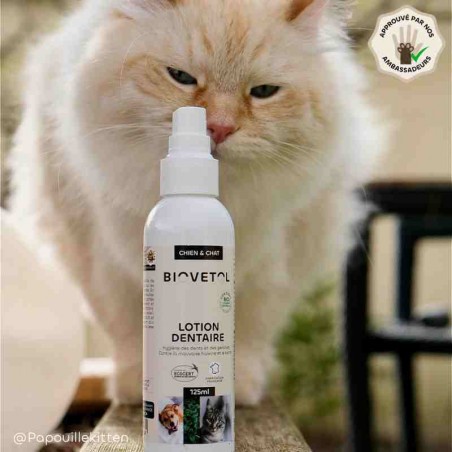 Lotion Dentaire pour Chien et Chat – Anti-tartre et mauvaise haleine bio ambassadeur