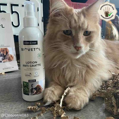 Lotion Anti-Démangeaisons pour Chien et Chat bio ambassadeur chat