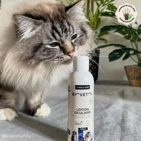 Lotion Nettoyante Contour des Yeux pour Chien et Chat ambassadeur chat