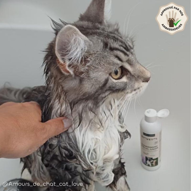 Shampooing Spécial Junior