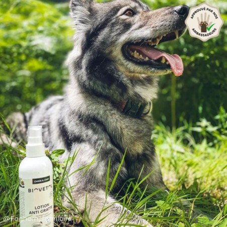 Lotion Anti-Démangeaisons pour Chien et Chat bio ambassadeur chein