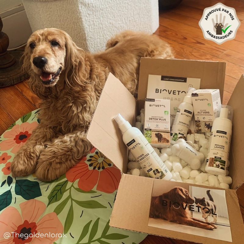 Biovetol Probiotiques bio DETOX'PLUS chien +10kg