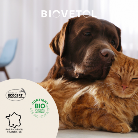 Pack Shampooing solide anti-insectes et sa boite