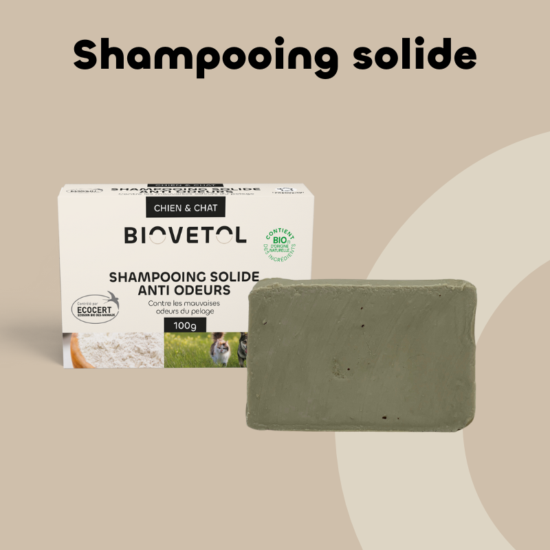 Pack Shampooing solide anti-odeurs et sa boite (couleur aléatoire)