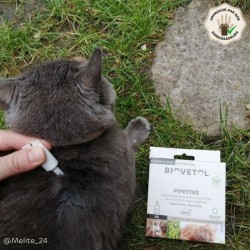 Pipettes anti-insectes pour chat et chaton bio x 3+1 2