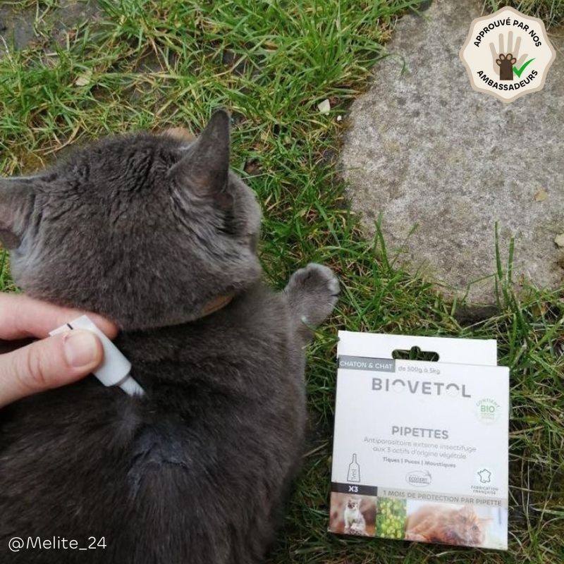 Pipettes anti-insectes pour chat et chaton bio produit