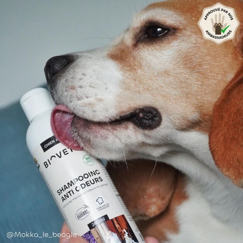 Pack Anti-Odeurs – 3 soins pour chien et chat shampooing