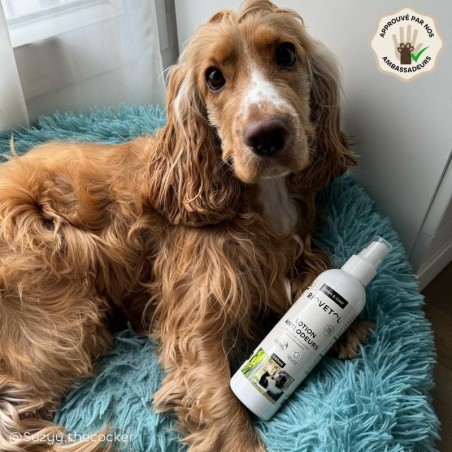 Recharge Lotion Anti-Odeurs pour Chien et Chat bio ambassadeur chien