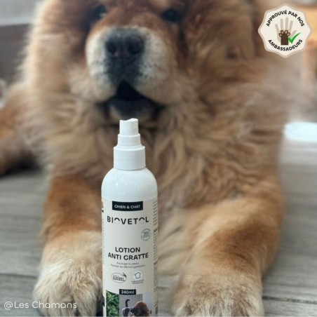 Recharge Lotion Anti-Démangeaisons pour Chien et Chat bio ambassadeur chien