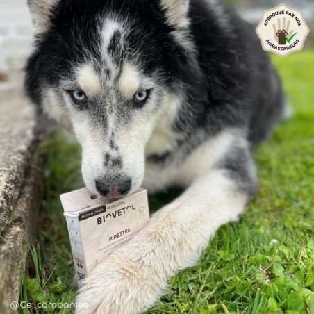 Pipettes anti-insectes Chien Moyen bio – 12 pipettes | Format économique ambassadeur