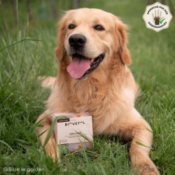 Lot de 6 colliers anti-insectes pour grand chien – Format économique 2