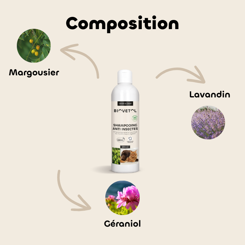 Pack Shampooing anti-insectes + recharge