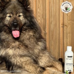 Pack Shampooing Anti-Insectes Chien & Chat + Recharge Bio 2