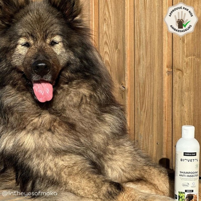 Biovetol Recharge Shampooing Anti-Insectes