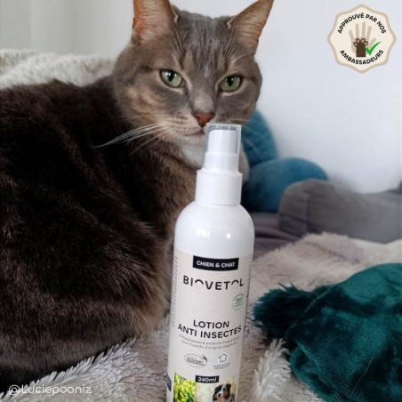Pack Lotion anti-insectes + recharge pour chien et chat
