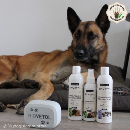 Pack Démangeaisons BIOVETOL – 3 soins apaisants pour chien et chat gamme