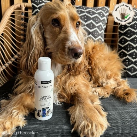 Pack Hygiène – 3 soins pour chien et chat ambassadeur chien