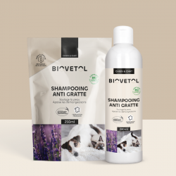 Pack Shampooing Anti-Gratte + Recharge BIO – Shampooing Apaisant pour les Démangeaisons
