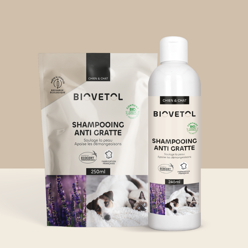 Pack Shampooing Anti-gratte + recharge