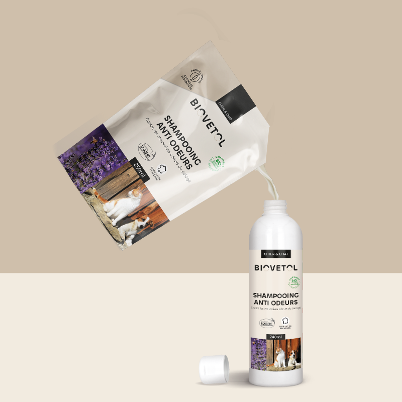 recharge Shampooing Anti-odeur