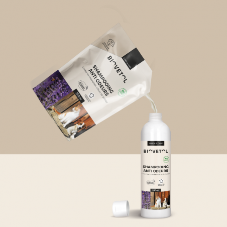 recharge Shampooing Anti-odeur