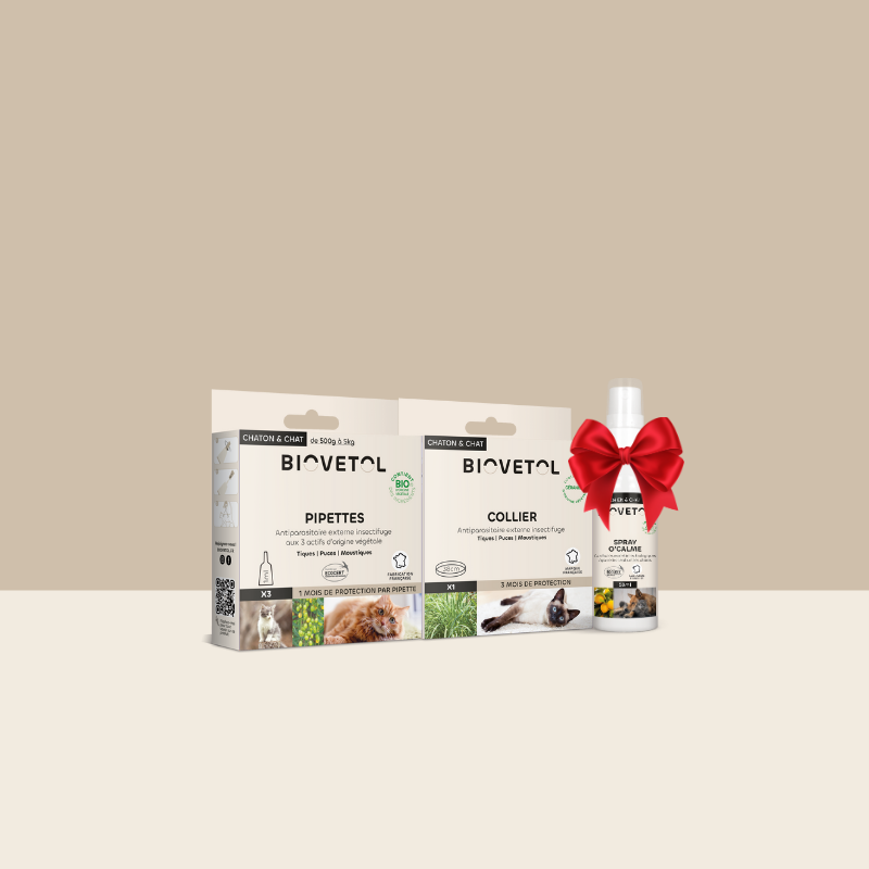 Pack Antiparasitaire Chat – 3 soins anti-insectes