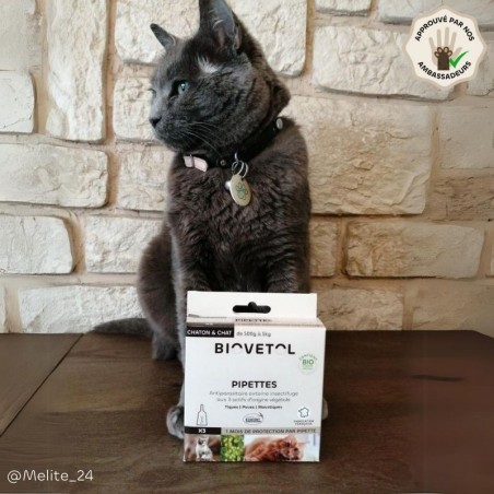 Pack Antiparasitaire Chat – 3 soins anti-insectes pipette