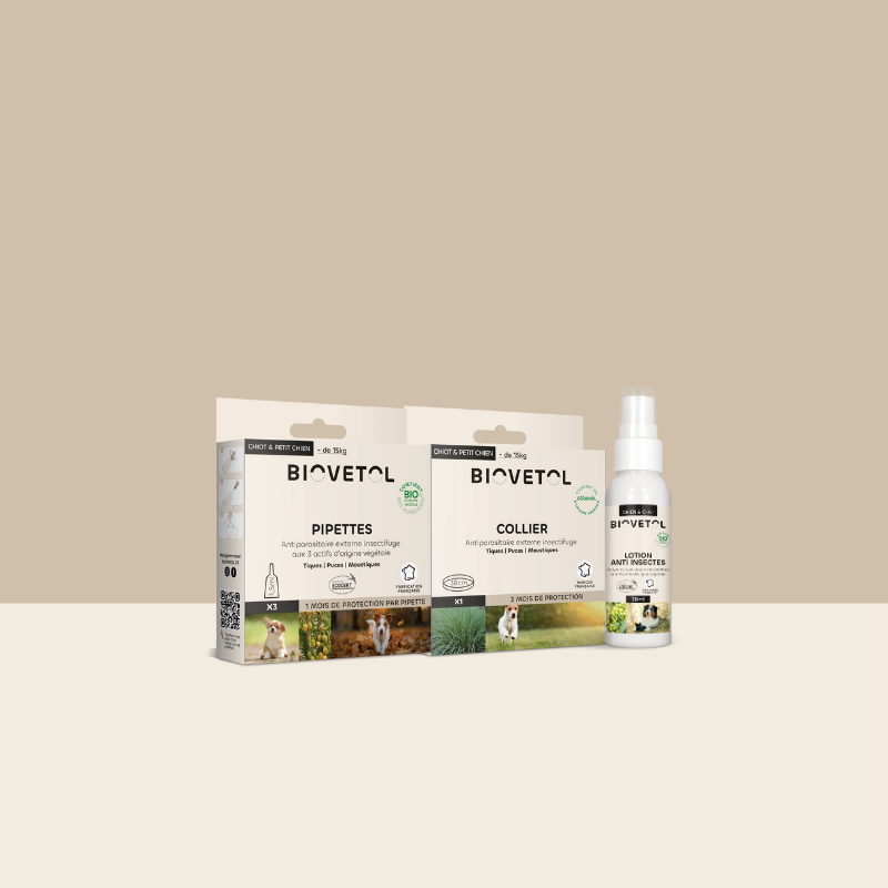 Pack antiparasitaire Petit chien