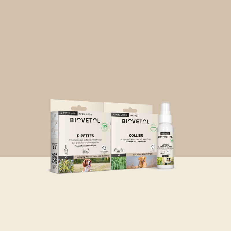Pack antiparasitaire Moyen chien