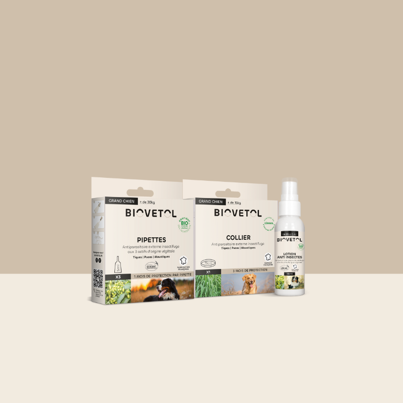 Pack antiparasitaire Grand chien