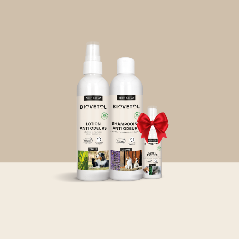 Pack Anti-Odeurs – 3 soins pour chien et chat