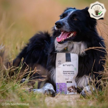Recharge Shampooing Tous Pelages pour Chien et Chat bio ambassadeur