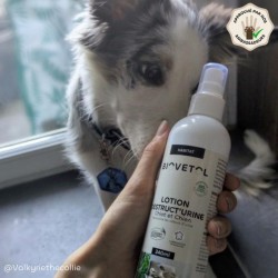 Lotion Destruct’urine Chiot et Chien 240ml 2