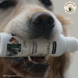 Lotion Dentaire pour Chien et Chat – Anti-tartre et mauvaise haleine bio 2
